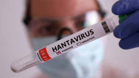 Алматы хантавирус қаупіне дайын ба? Санитар мәлімдеме жасады