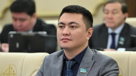Даулет Мукаев прокомментировал скандал вокруг «синей папки»