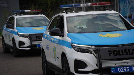 Алматы облысында әйелін қағып өлтірді деген күдікпен ер адам ұсталды