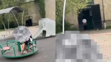 Семейде балаларға қарап әдепсіз әрекет жасаған ер адам ұсталды (ВИДЕО)