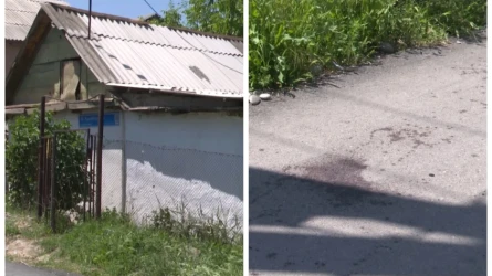Шымкентте 70 жастағы қария көршілеріне пышақтап тастады