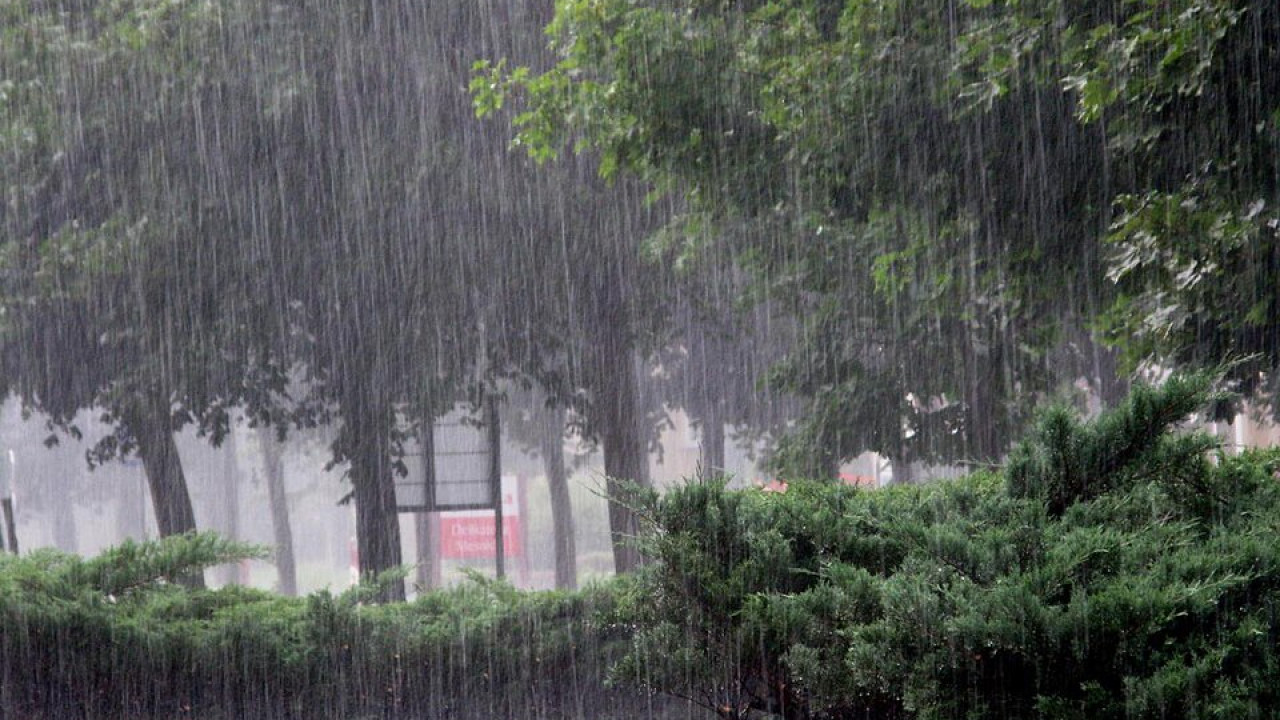 Дожди, грозы и жара до +35°C: прогноз погоды в Казахстане на 11 июня