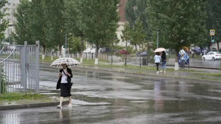 Жара до +40°C и грозовые дожди: какой будет погода в Казахстане 8 июня