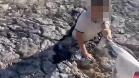 Ақтауда жағажайда бала беліне дейін лайға батып кете жаздады