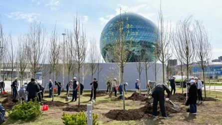 Токаев назвал реализацию концепции «Таза Қазақстан» обязанностью властей