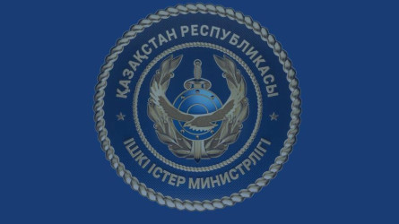 Подозреваемый в мошенничестве мужчина депортирован из Турции