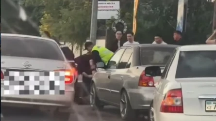 Қарағандыда екі ер адам көшеде төбелесіп, полицияға қарсылық көрсетті