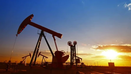 «Мир нуждается в нашей нефти»: Минэнерго объяснило позицию Казахстана по добыче сырья