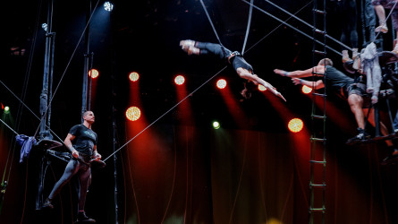 Как создается OVO от Cirque du Soleil: журналистам впервые показали закулисье шоу перед премьерой в Казахстане