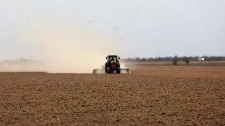 Посевная кампания в Казахстане завершена
