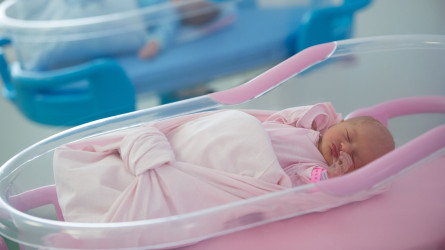 ҚМДБ балалы болғысы келмейтіндердің әрекетін харам деп үкім шығарды