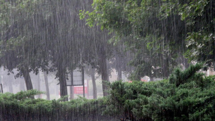 Дожди, грозы и жара до +35°C: прогноз погоды в Казахстане на 11 июня