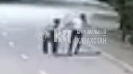 Шамалғанда белгісіз адам әйелді арқанмен тұншықтырмақ болған (ВИДЕО)