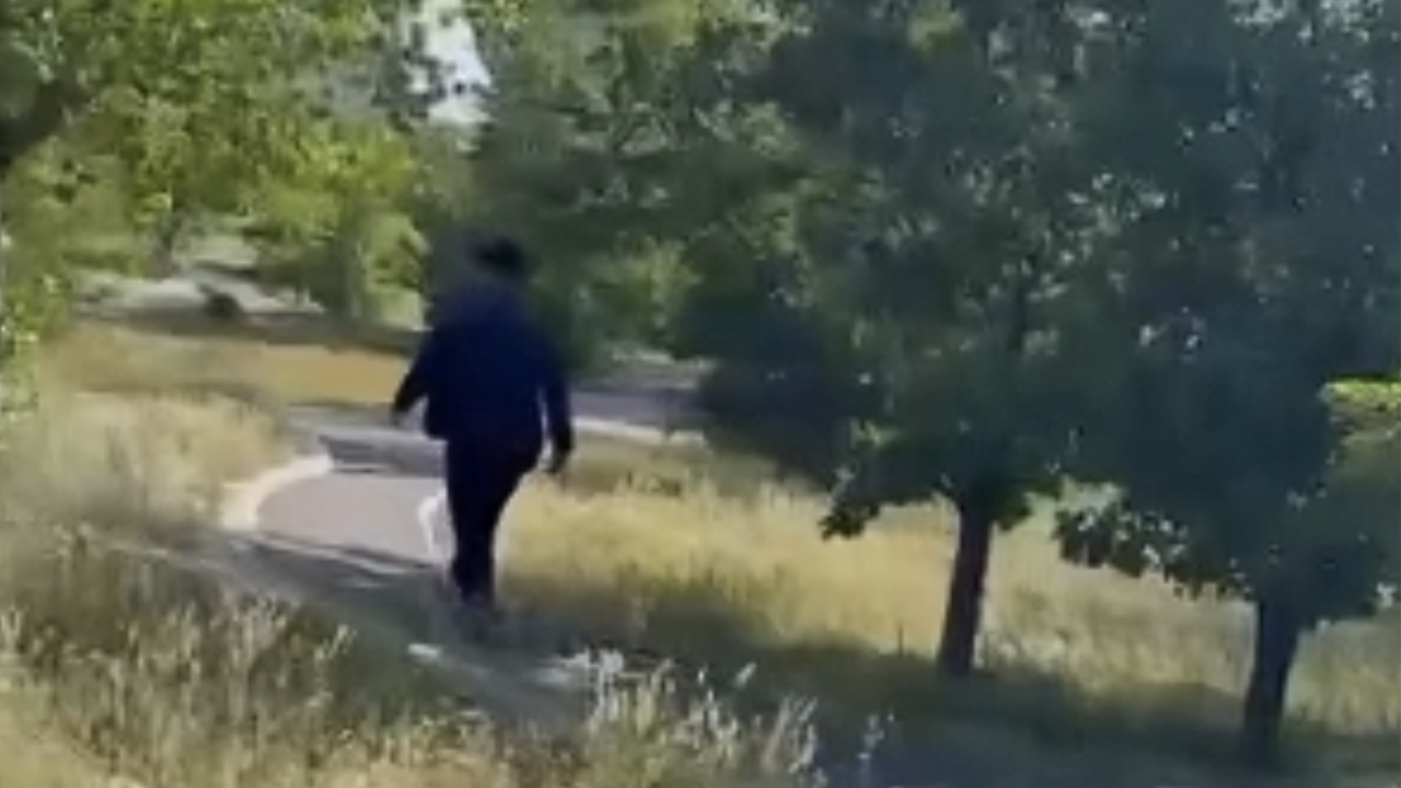 «Омырауынан ұстап алды»: Астанада саябақта әйелге шабуыл жасаған ер адам ұсталды