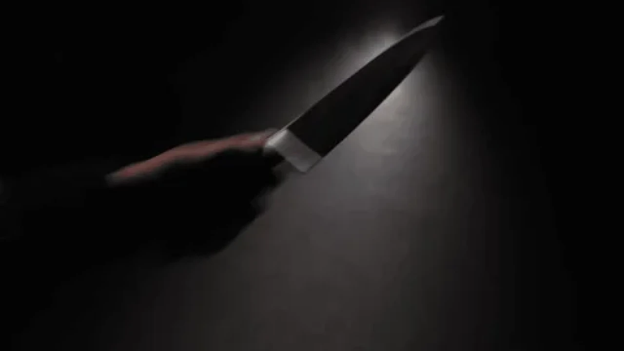 В области Абай 20-летнюю девушку смертельно ранили ножом