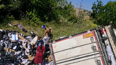 В ЗКО жители за час собрали 20 тонн нектаринов, рассыпавшихся из перевернувшейся фуры