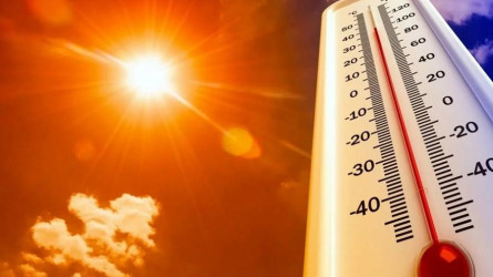 В Казахстан идет аномальная жара до +44 °C: в каких регионах объявлено штормовое предупреждение