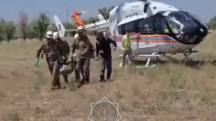 В горах Туркестанской области погиб турист