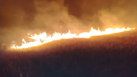 В Акмолинской области за ночь ликвидировали три пожара сухой травы
