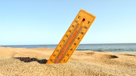 В ряде регионов Казахстана ожидается жара до +41 °C