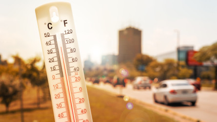 Бүгін елімізде +48 градусқа дейін ыстық болады