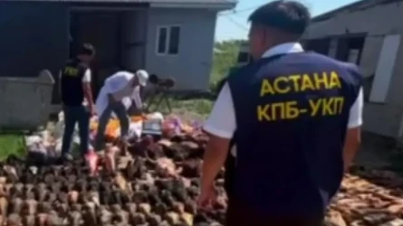 Кафелер мен дүкендерге жеткізілген: Астанада қауіпті ет өндірген жасырын цех анықталды