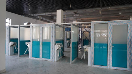 Қазақстан шекарасында жанжал шығарған бес баланың анасы сотталды