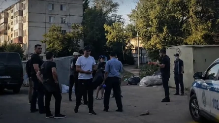В Экибастузе среди мусора обнаружили расчлененное тело женщины