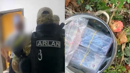Кәстрөлге тығып, алма ағашының түбіне жасырған: Павлодарда 24 млн теңге табылды