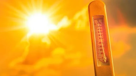 До 41 градуса жары: в Казахстане опубликован прогноз погоды на 10 августа