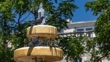В Казахстане побиты температурные рекорды, державшиеся более века