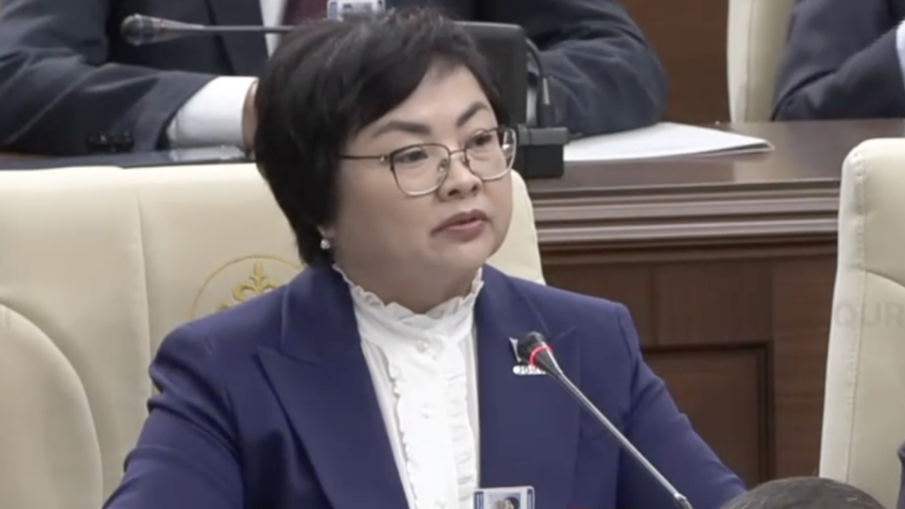 Құрылтай депутаты: Әлеуметтік желілерде Қазақстан тарихы бұрмаланып таралып жатыр