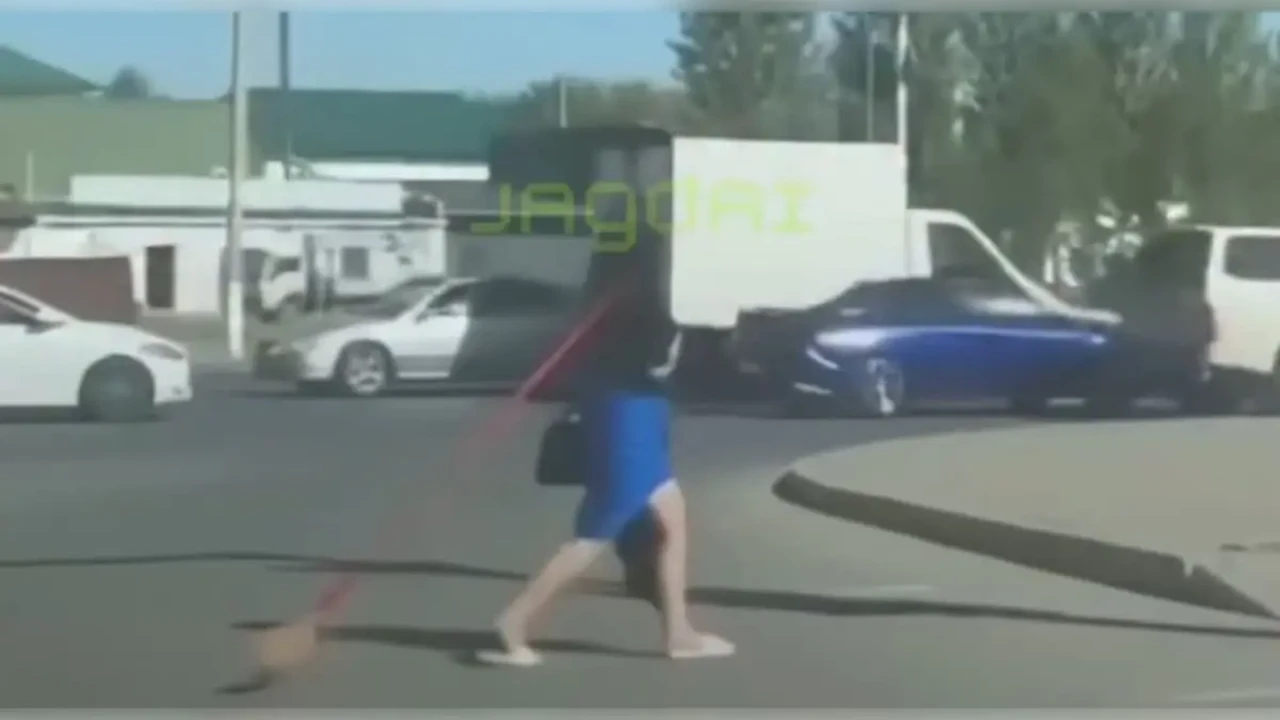 Астанада қыз бала марғауды жіпке байлап сүйреген: видео жұрттың ашуын туғызды