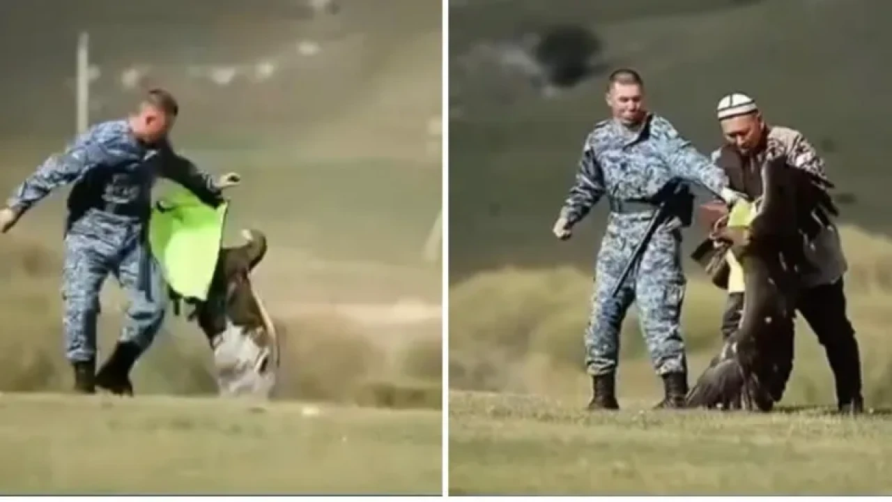 Бүркіт сарбазға шабуыл жасады: қырғыз әскери қызметшісінің әрекеті көпшілікті тәнті етті