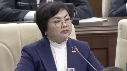 Құрылтай депутаты: Әлеуметтік желілерде Қазақстан тарихы бұрмаланып таралып жатыр