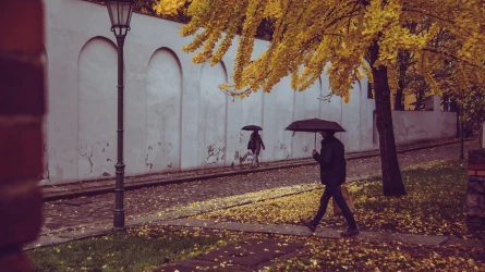 +27 градусқа дейін жылынады, түнде үсік түседі: 30 қыркүйекке арналған болжам