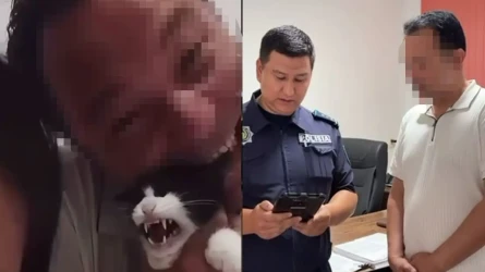 TikTok эфирінде мысыққа дөрекі әрекет жасаған қазақстандық ұсталды