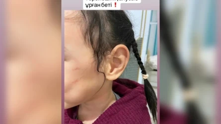 Астанада жекеменшік балабақша тәрбиешісі балаға күш көрсетті деген күдікке ілінді