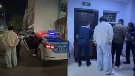 Алматыда танымал екі блогер балағат сөздер үшін қамауға алынды