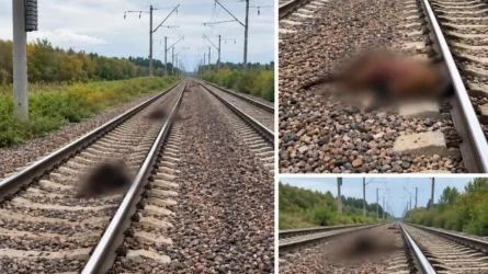 В Акмолинской области поезд столкнулся с вышедшим на пути скотом